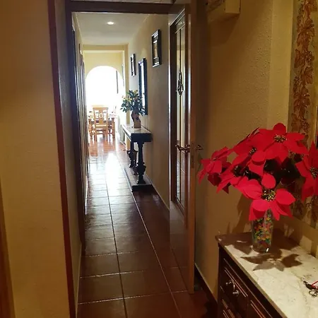 Apartment Sol